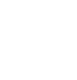 Financial Reports Statutory